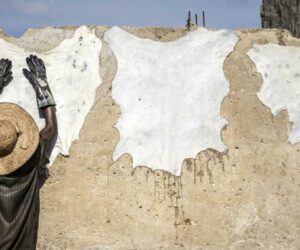 Sought by luxury labels, Nigerian leather reclaims home market