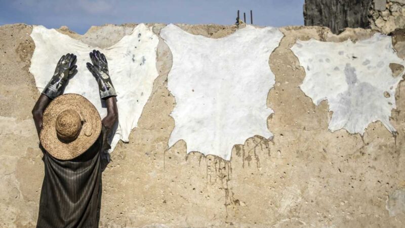 Sought by luxury labels, Nigerian leather reclaims home market