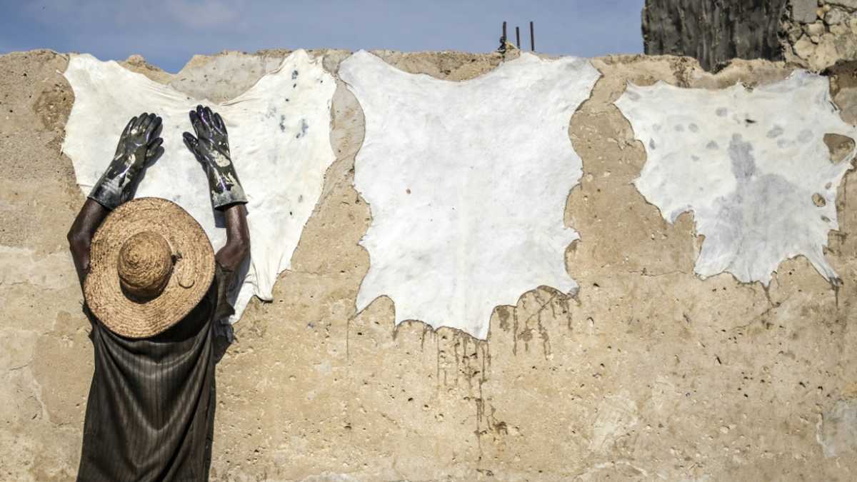 Sought by luxury labels, Nigerian leather reclaims home market