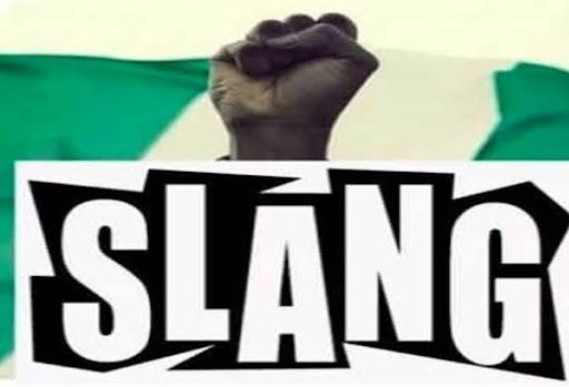 Top Nigerian slangs that took over the internet this year