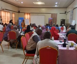 Malnutrition: UNICEF empowers local actors to deliver aid in North-east