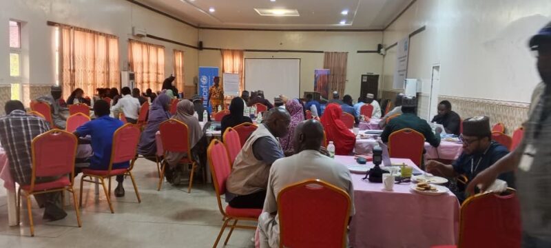 Malnutrition: UNICEF empowers local actors to deliver aid in North-east