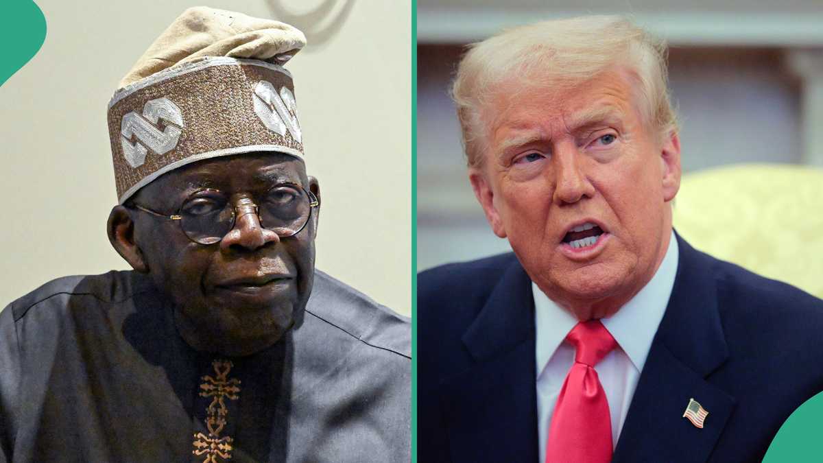 Did Donald Trump Vow to Stop Tinubu in 2027? Fact Finally Emerges