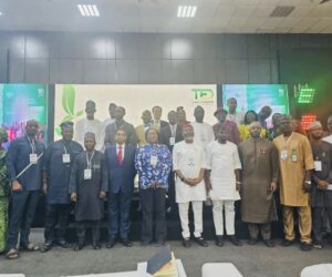 Green Tech Key To Nigeria’s Future — Minister