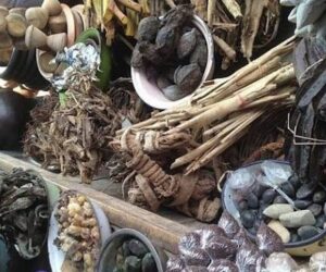 The shocking truth about Nigerian herbal remedies – helpful or harmful?