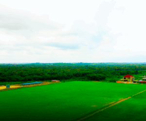Why Everyone Is Buying Isimi Lagos – And Why You Shouldn’t Miss Out