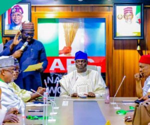 APC National Chairman Sends Strong Message to Atiku, Peter Obi, Others Amid Plot to Sack Tinubu