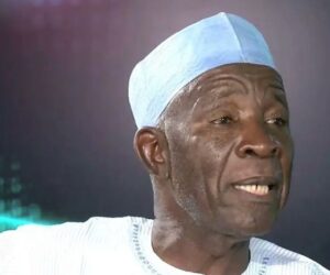 'Civil war loading?' – Galadima drags FG over planned INEC chairman appointment