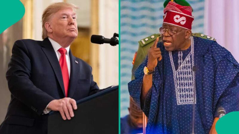 U.S. Imports from Nigeria Crash 41% as Trump Tariff Escalates Trade Tensions