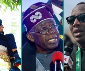 Tinubu vs Sowore: Wike Explains Why President Has Not Dealt with AAC Presidential Candidate