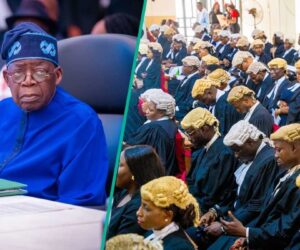 Jubilation as Tinubu Approves Establishment of New Court of Appeal, Location Emerges