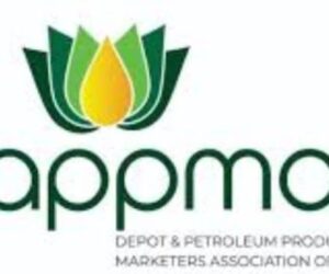 DAPPMAN challenges Dangote on fuel pricing