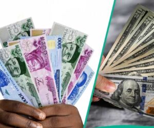 Naira Sets New Record, Hits Five-Month High at N1,514 Per Dollar