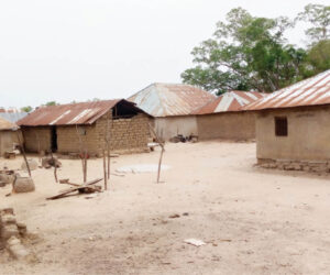Ex-SUBEB Chair, Many others kidnapped as bandits lay siege to Niger communities – Daily Trust