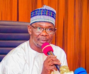 Governor Sule Got It Right