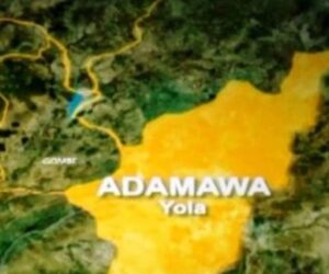 Eight dies of suspected Buruli Ulcer in Adamawa