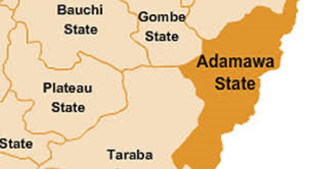 Residents raise alarm as strange ailment hits Adamawa community – Daily Trust