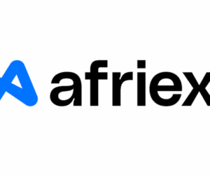 Fintech, Globalization, and Borderless Banking – A Look at Afriex | Tech | Business