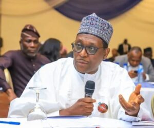 Pate, Salako, Regulators For OneBarrow Health Conference