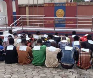 Amotekun Nabs 28 Suspects, Recovers, Returns Stolen Cattle to Fulani Herdsmen in Ondo