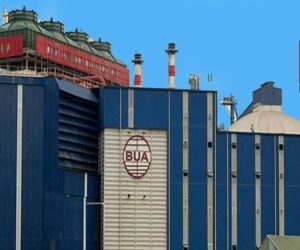 BUA Foods doubles revenue to ₦1.53trn on strong volume, price gains