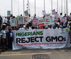 Stakeholders Warn Against GMOs, Urge Nigerian Government to Ban Modified Crops and Protect Food Sovereignty