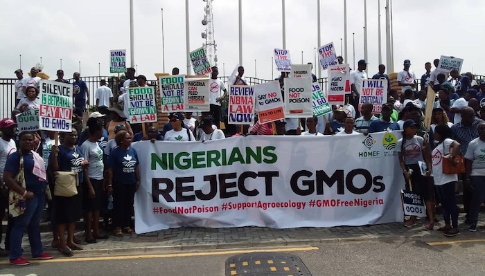 Stakeholders Warn Against GMOs, Urge Nigerian Government to Ban Modified Crops and Protect Food Sovereignty