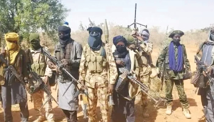 Mali, Niger, Burkina Faso set to expose Nigerian politicians allegedly backing bandits