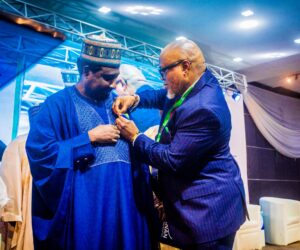 ANAN confers fellowship on Deputy Senate President – Daily Trust