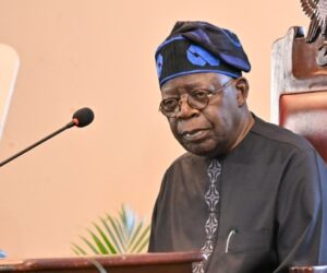 ‘Why Tinubu Has Delayed Appointment Of Ambassadors’