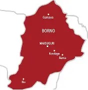 Police orders inveestigation into mysterious deathof three children in Borno