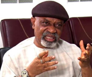 ‘Tell our fathers, Azikiwe, Awolowo, things are still bad’ — Ngige to Audu Ogbeh
