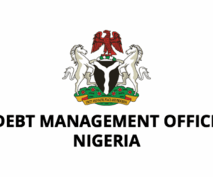 Analysts Advise FG On Risk Mgt As New MTDS Raises Borrowing Limits