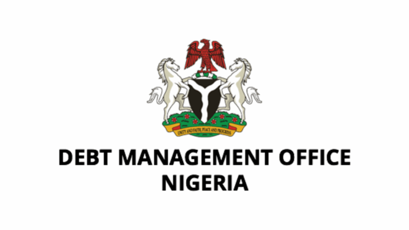 Analysts Advise FG On Risk Mgt As New MTDS Raises Borrowing Limits