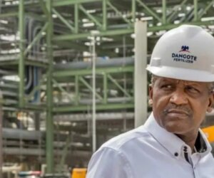 Call Dangote to order now – PENGASSAN tells Nigerian govt