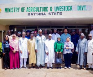 Your Gateway to a US$7 trillion+ Market Through Certification – Daily Trust
