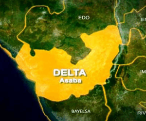 Police arrests suspected drug dealer in Delta