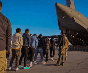 Trump deports first set of Nigerians – Daily Trust