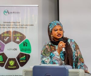NITDA, JICA Partnership Driving Nigeria’s Startup Revolution – Inuwa | Tech | Business
