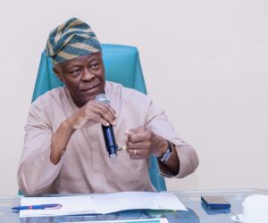 Revenue allocated to states doubled after subsidy removal – FG – Daily Trust