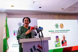 Egypt, Nigeria Deepen Educational Ties Through Fair  – Independent Newspaper Nigeria