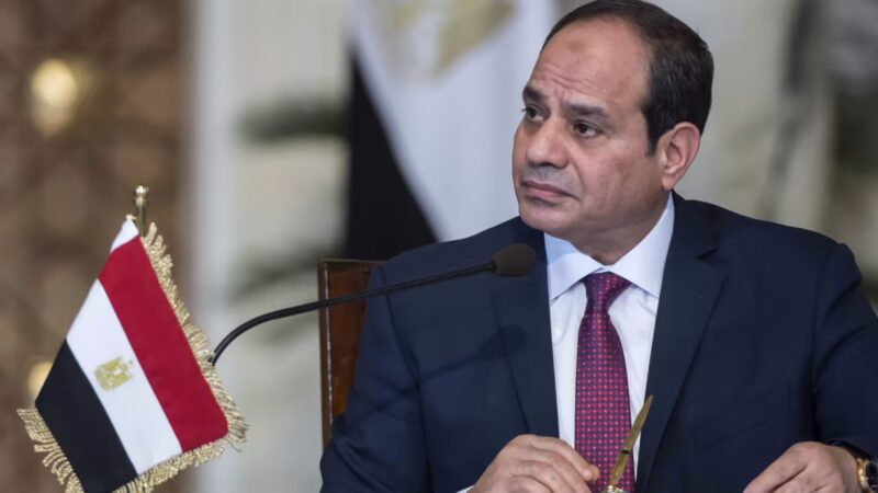 Egypt President Al-Sisi Reiterates Support For El-Enany’s UNESCO D-G Candidacy