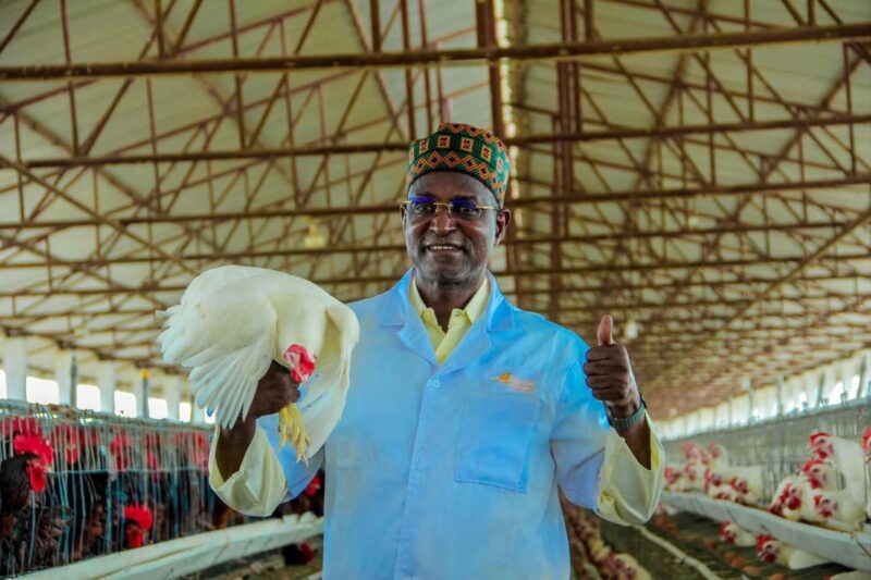 Livestock is Nigeria’s next crude oil – Maiha