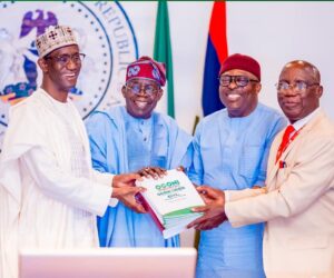 Ogoni: Tinubu Directs NSA To Engage Stakeholders On Resuming Oil Operations