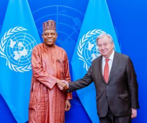 Shettima Meets UN Secretary-General over Nigeria’s Security Council bid – Daily Trust
