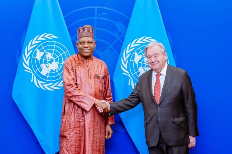 Shettima Meets UN Secretary-General over Nigeria’s Security Council bid – Daily Trust