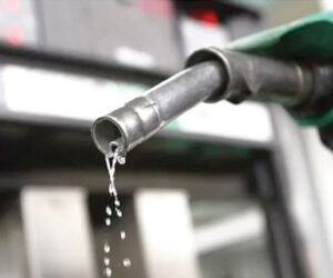 No fuel levy on kerosene, LPG, CNG, renewables – Oyedele