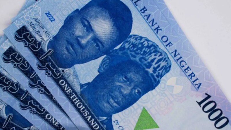 Naira posts biggest single-day gain against dollar in official, black markets