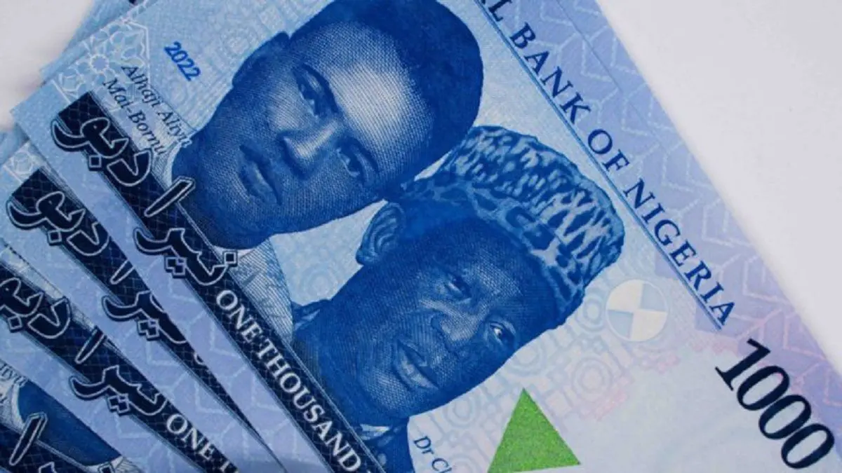 Naira posts biggest single-day gain against dollar in official, black markets