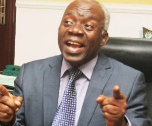 2027: Punish offenders of early campaign – Falana urges INEC